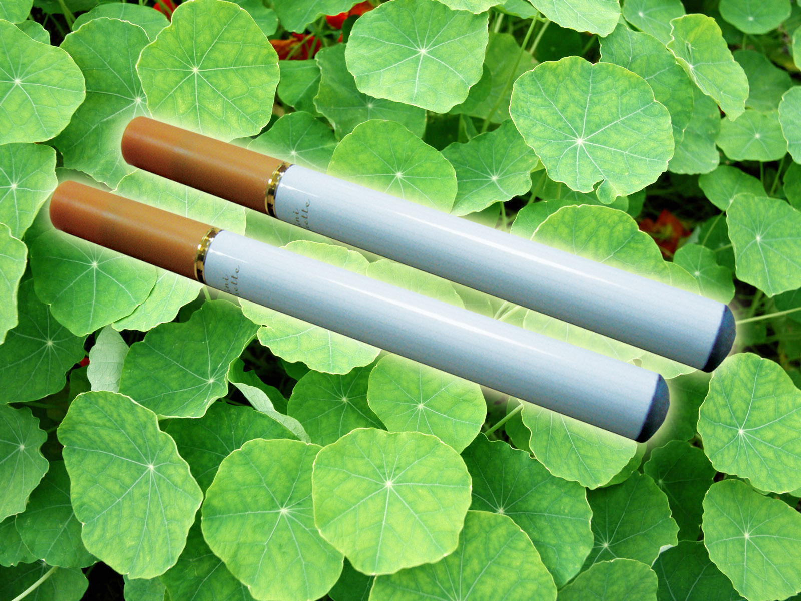 Electronic_Cigarette_Website